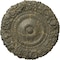 Ekena Millwork Marseille Ceiling Medallion (Fits Canopies up to 7 3/8"), 21"OD x 2"P, Witch Hazel Crackle CM21MAWHC - alternate 1